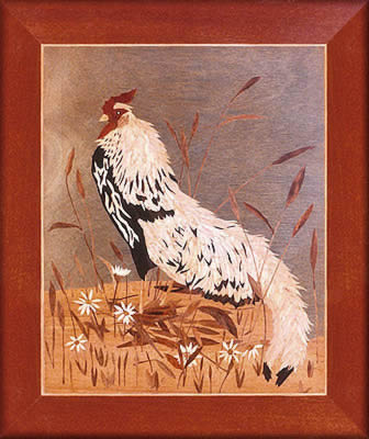 Bantam Cock